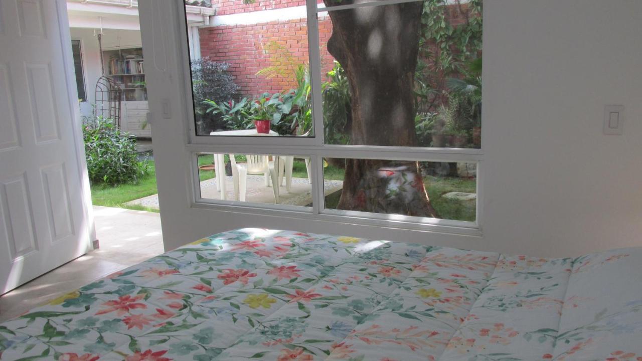 50N15 B&B Кали Екстериор снимка